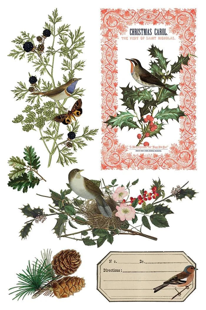 Winter Botanist IOD Transfer 8X12 - The Mustard Seed Collection, The Seed