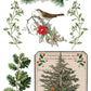 Winter Botanist IOD Transfer 8X12