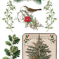 Winter Botanist IOD Transfer 8X12 - The Mustard Seed Collection, The Seed