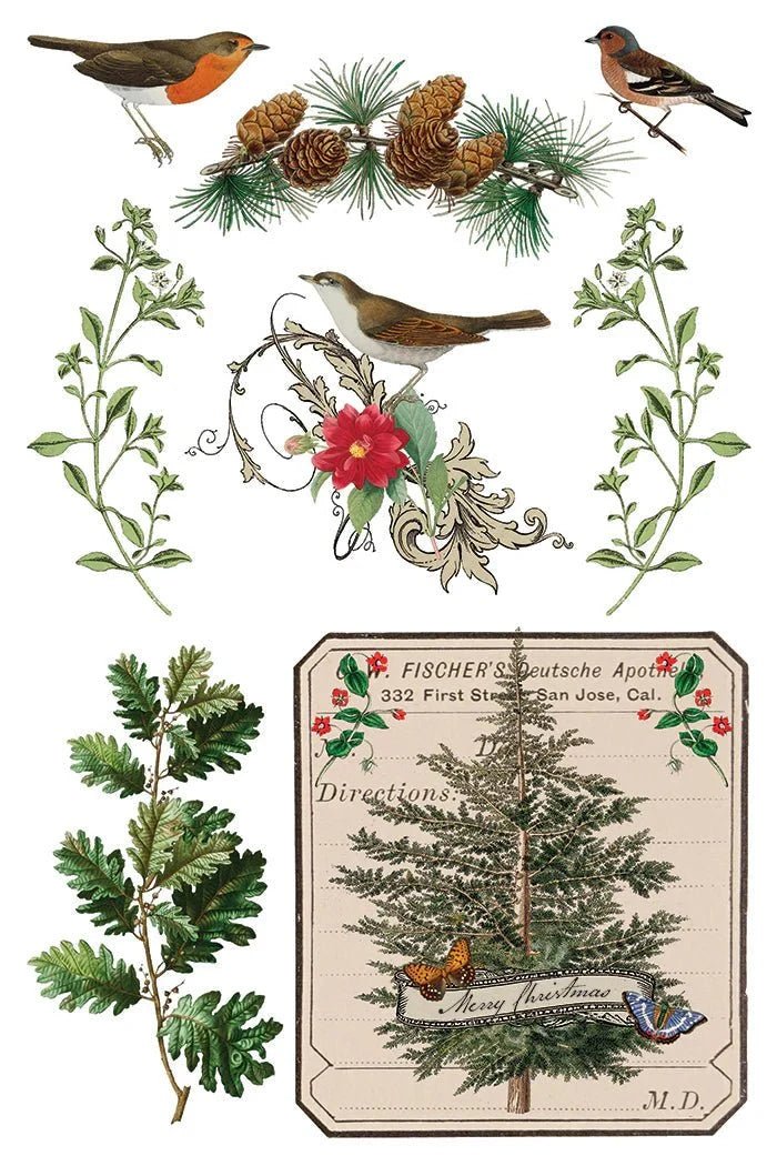 Winter Botanist IOD Transfer 8X12 - The Mustard Seed Collection, The Seed