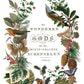 Winter Botanist IOD Transfer 8X12 - The Mustard Seed Collection, The Seed