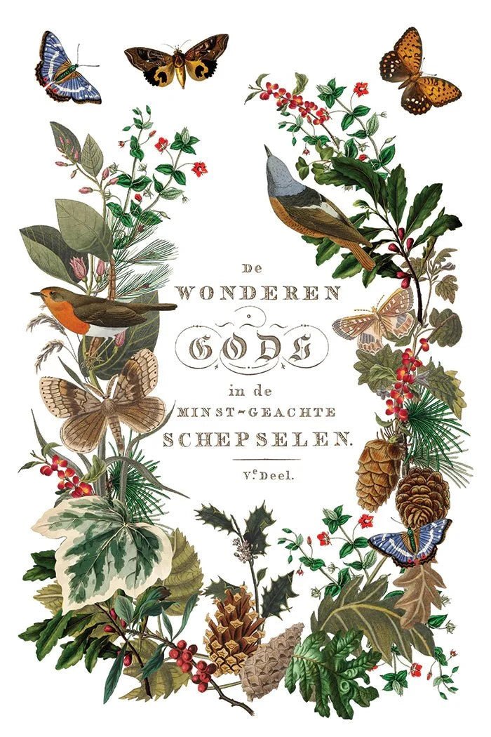 Winter Botanist IOD Transfer 8X12 - The Mustard Seed Collection, The Seed
