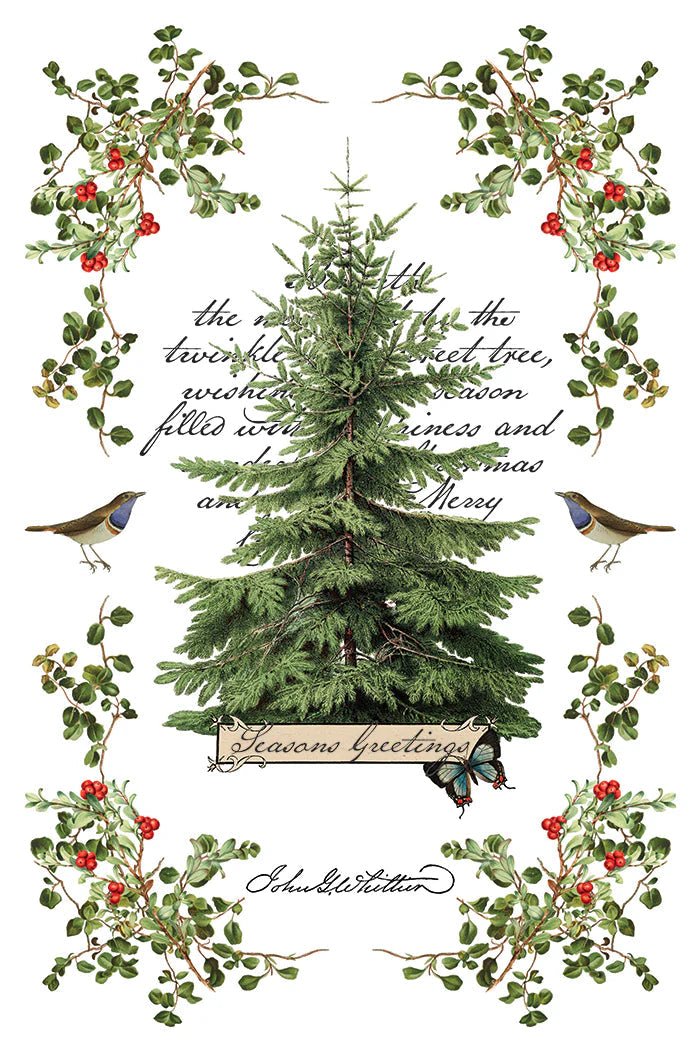 Winter Botanist IOD Transfer 8X12