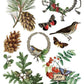 Winter Botanist IOD Transfer 8X12 - The Mustard Seed Collection, The Seed