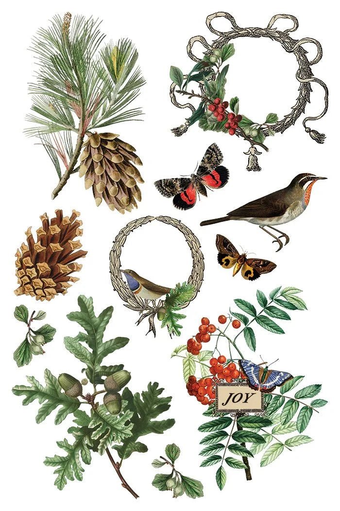 Winter Botanist IOD Transfer 8X12 - The Mustard Seed Collection, The Seed