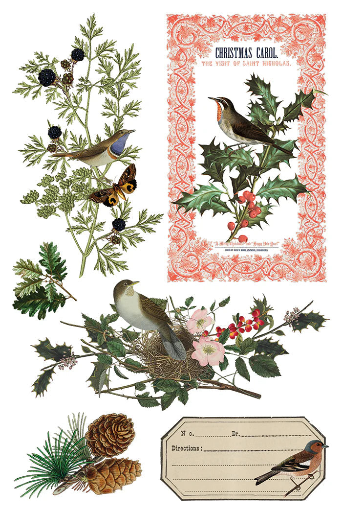 Winter Botanist IOD Transfer 8X12