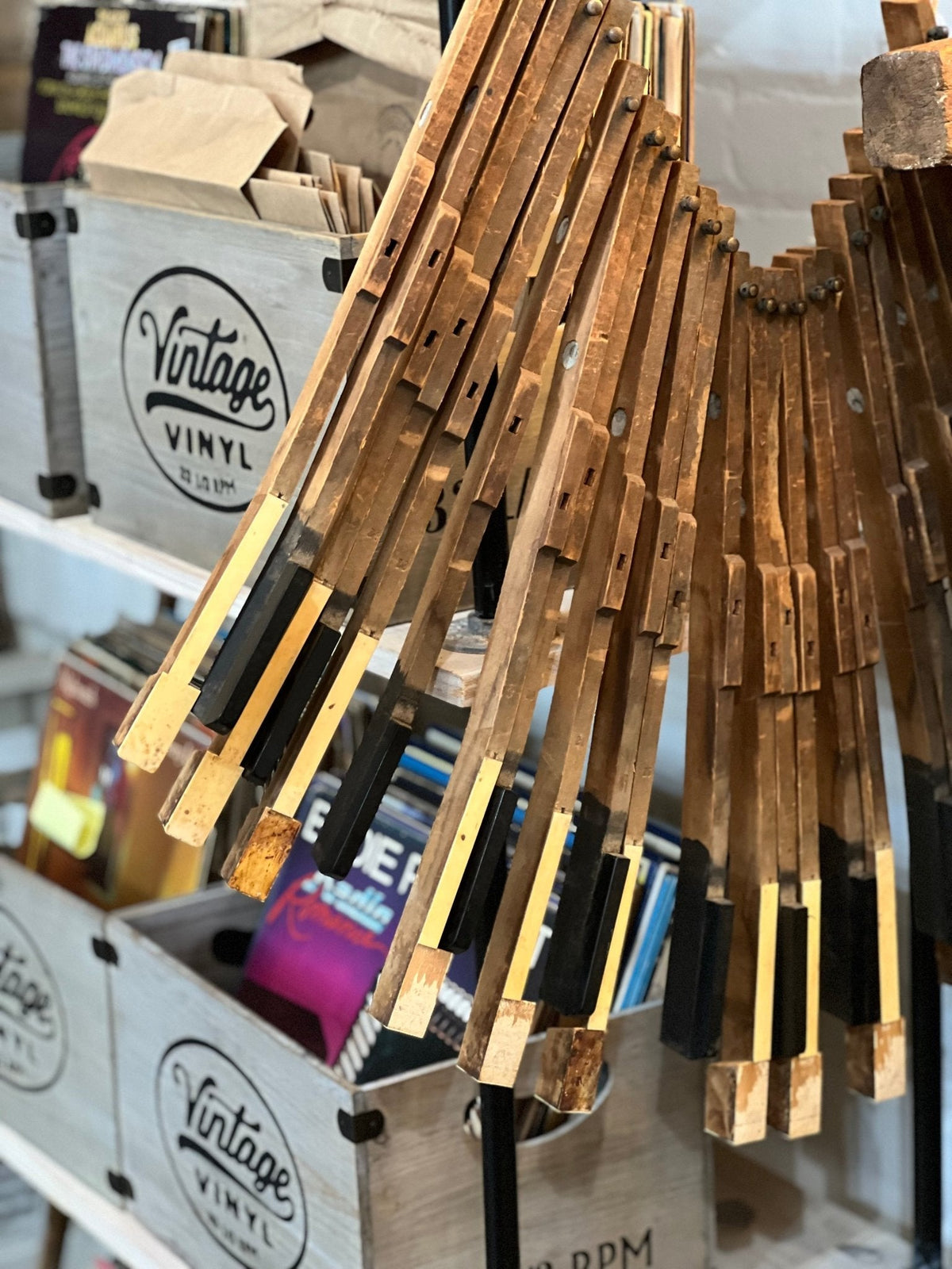 Wooden Piano Keys - The Mustard Seed Collection, The Seed