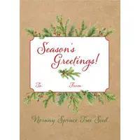 Bentley Seasons Greetings Norway Spruce Faire-Bentley Seeds