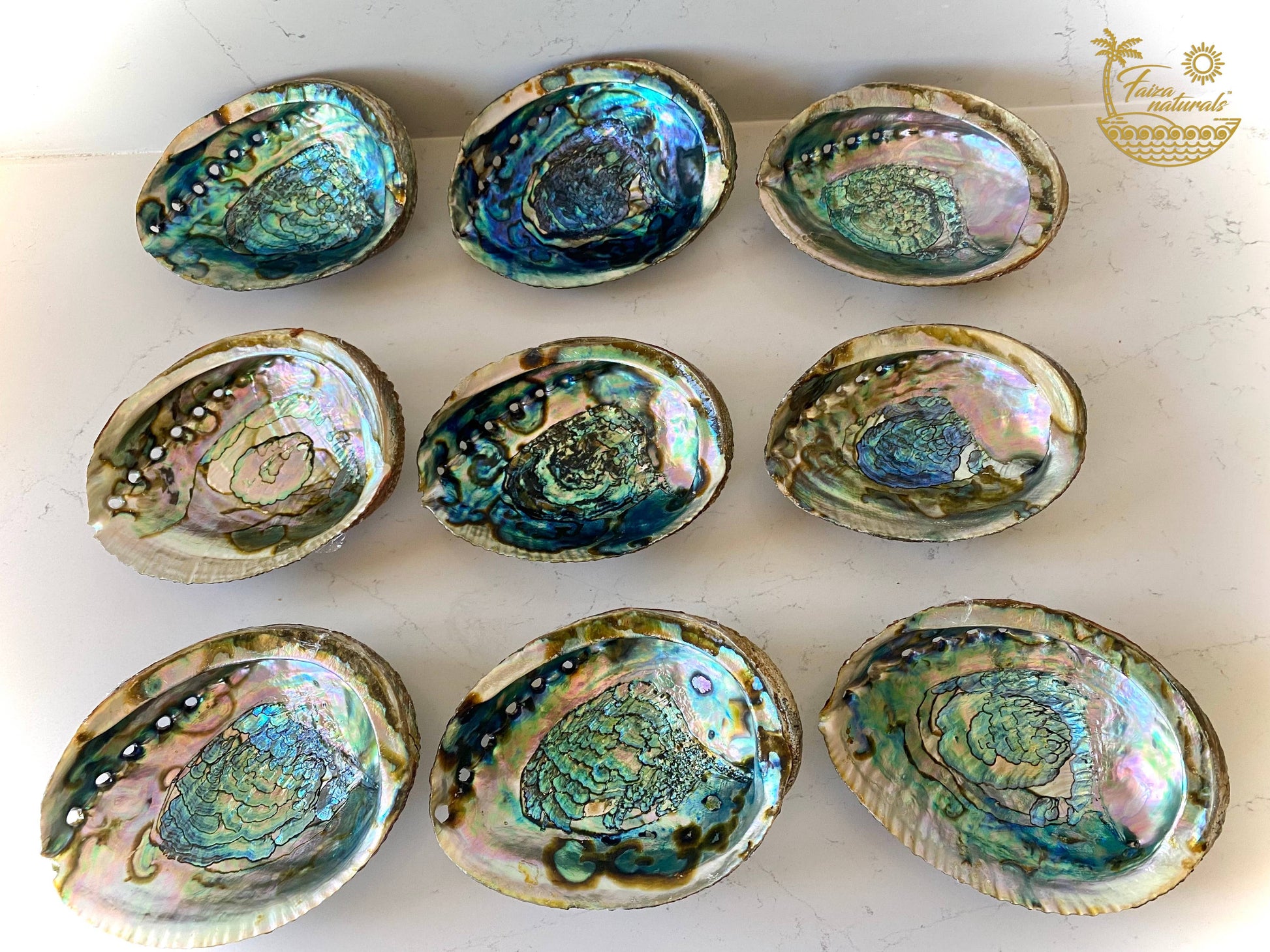 Abalone Shell Smudge Bowls LARGE