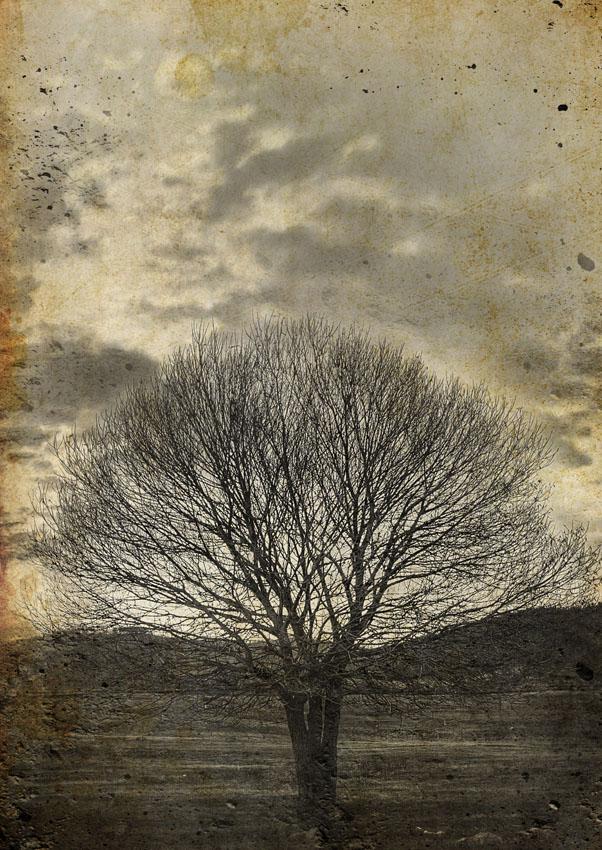 A1 Sepia Tree Mint Decoupage Paper