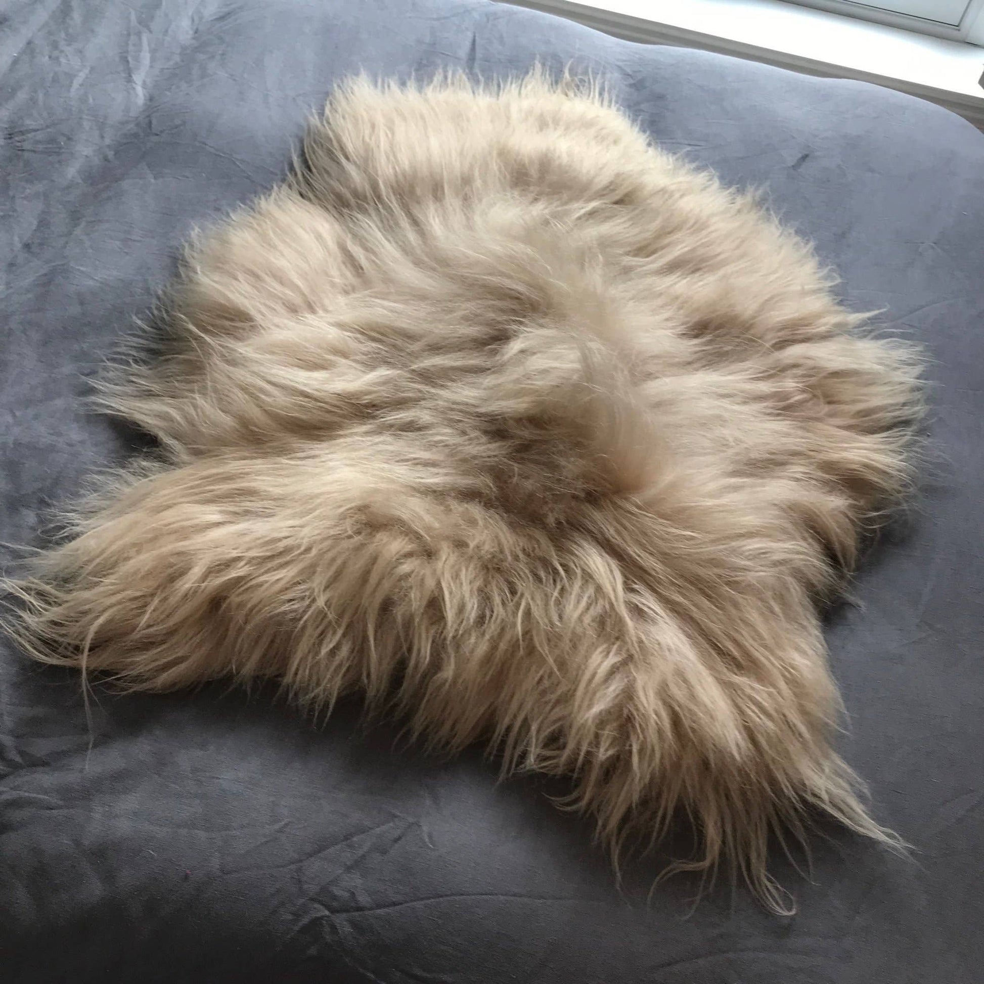 Honey Gold Icelandic Longhair Sheepskin Rug Throw Hide: Large