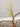 Sand Wildflower Spray Col House Designs