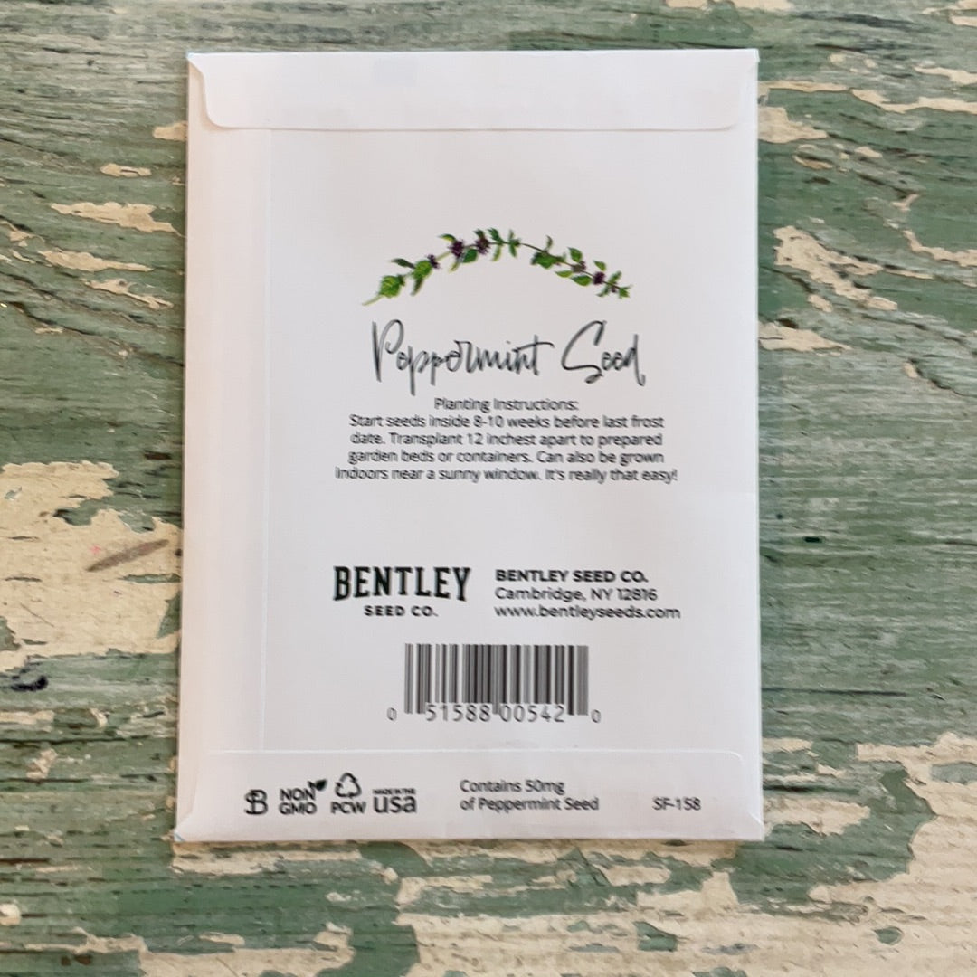 Bentley Simply Mint to Be