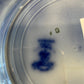 1800s Flo Blue Ironstone Bowl