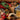 Ornaments 3 The Mustard Seed Collection